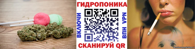 мега маркетплейс  купить наркоту  Макаров  Еда ТГК конопля 