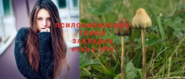 кристаллы Дмитров