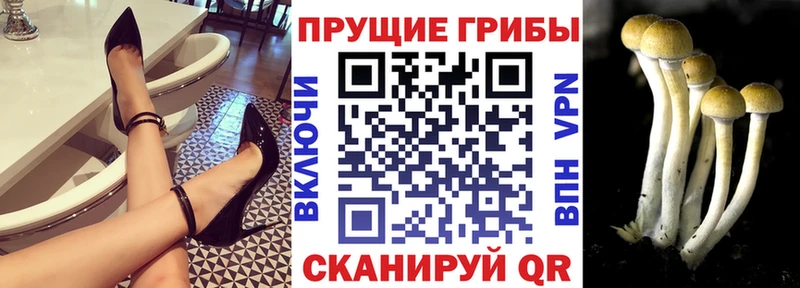 Псилоцибиновые грибы ЛСД  Макаров 